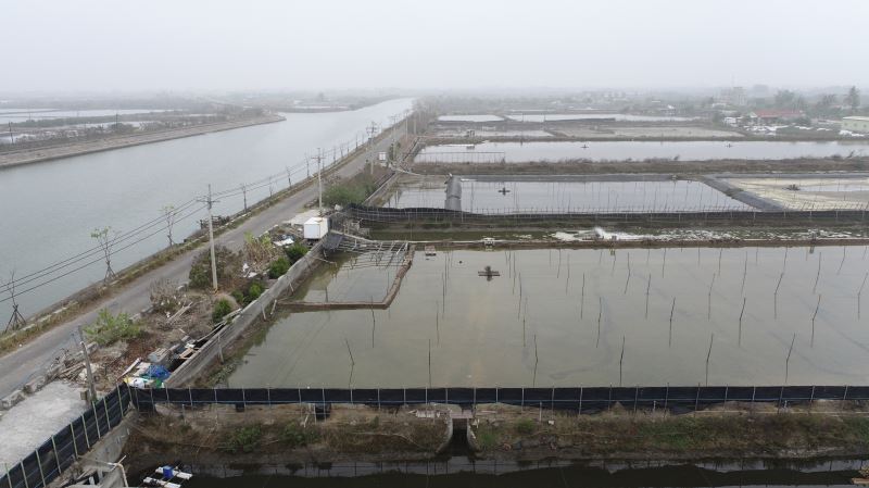 1月寒流來襲 南市養殖水產保險47件獲理賠668萬