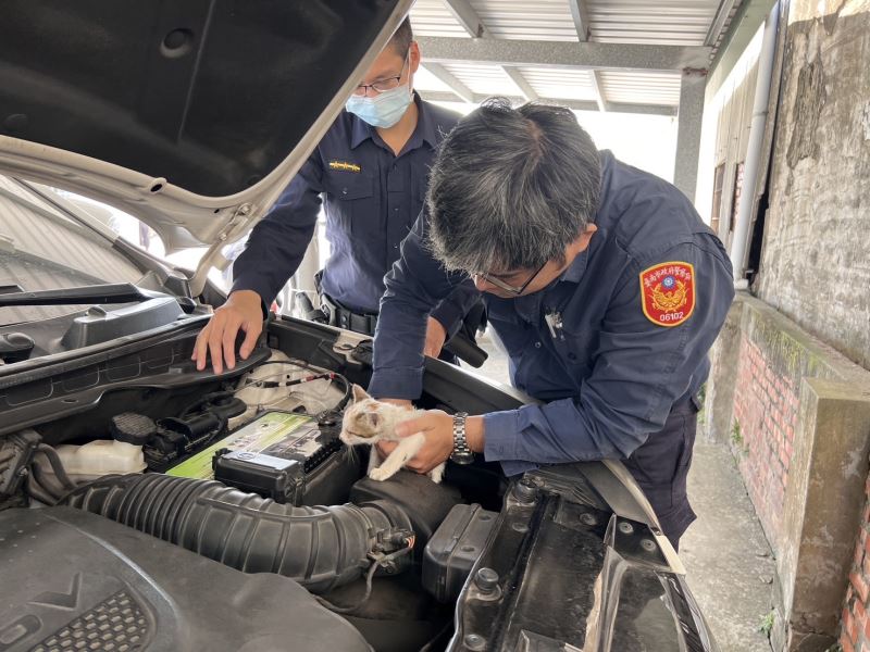 躲貓貓！幼貓受困善化暖警神救援