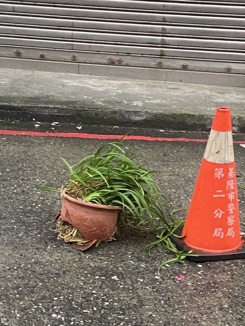 盆栽高空降落！基警積極排除解危機