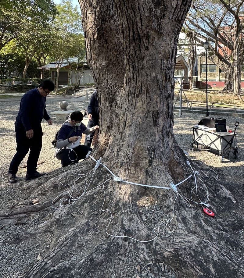 有志一同 南市農業局保護珍貴樹木 黃偉哲：認養守護臺南列管老樹